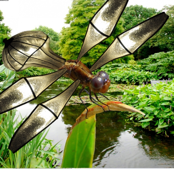 Creation of Dragonfly: Step 5